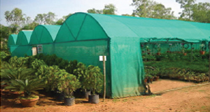 Shade Net-2